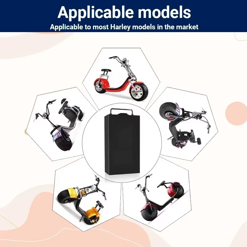 Аккумулятор для электромотоцик – обзор и цена 60V 30Ah Electric Scooter Battery